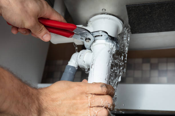 Best Water damage cleanup near me  in Dawson, GA