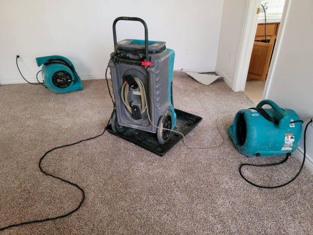 Best Emergency water damage restoration  in Dawson, GA