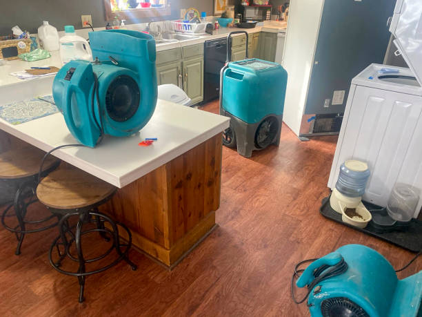 Best Professional water damage repair  in Dawson, GA