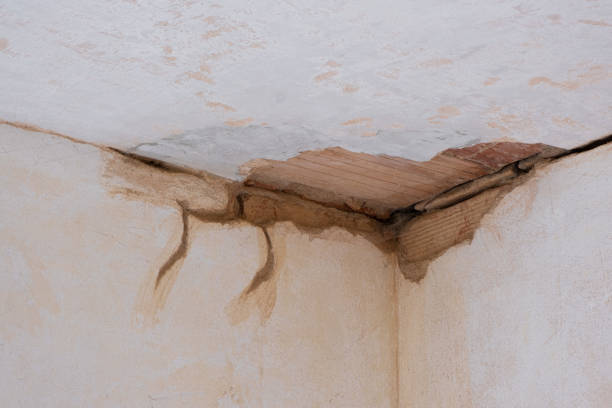 Best 24-hour water damage restoration  in Dawson, GA