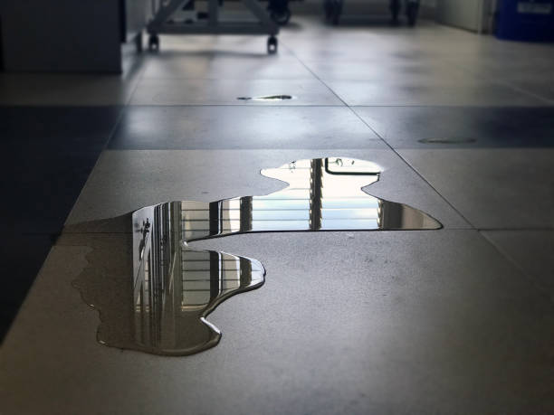 Best Water damage restoration services  in Dawson, GA