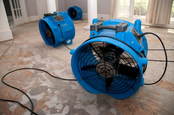 Best Water damage restoration near me  in Dawson, GA
