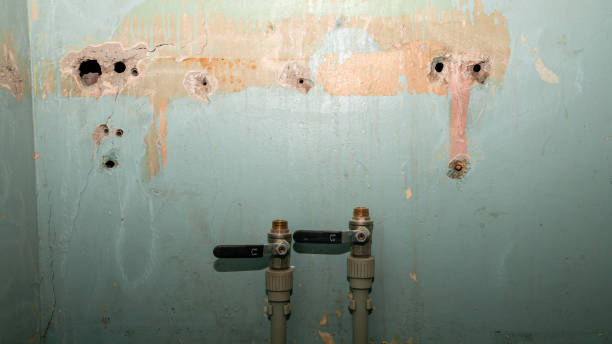 Best 24-hour water damage restoration  in Dawson, GA