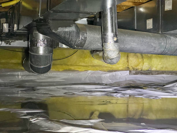 Best Ceiling water damage repair  in Dawson, GA