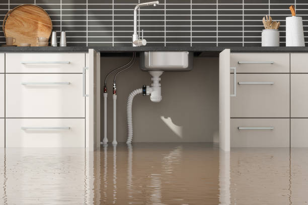 Best Water damage restoration cost  in Dawson, GA