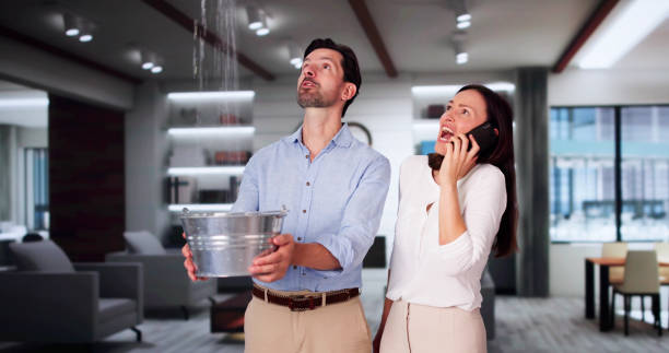 Best Local water damage restoration  in Dawson, GA