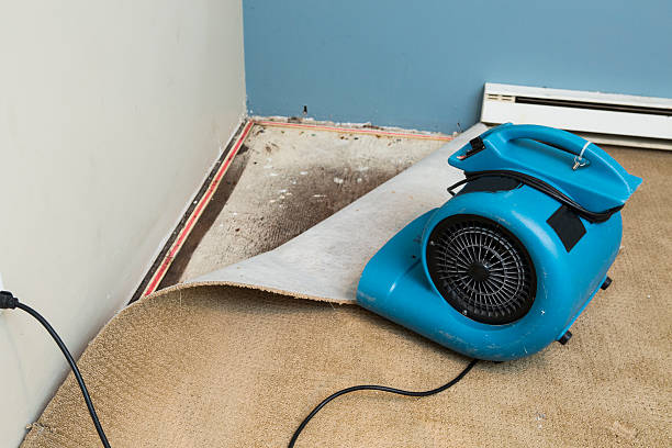 Best 24-hour water damage restoration  in Dawson, GA